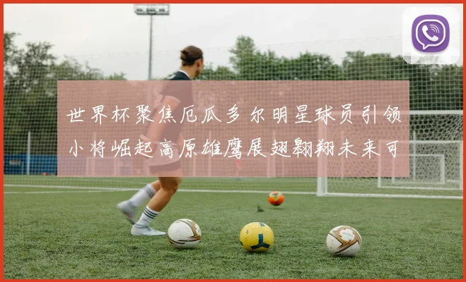 世界杯聚焦厄瓜多尔明星球员引领小将崛起高原雄鹰展翅翱翔未来可期