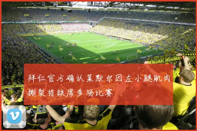 拜仁官方确认莱默尔因左小腿肌肉撕裂将缺席多场比赛